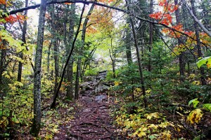 Chikanishing Trail II
